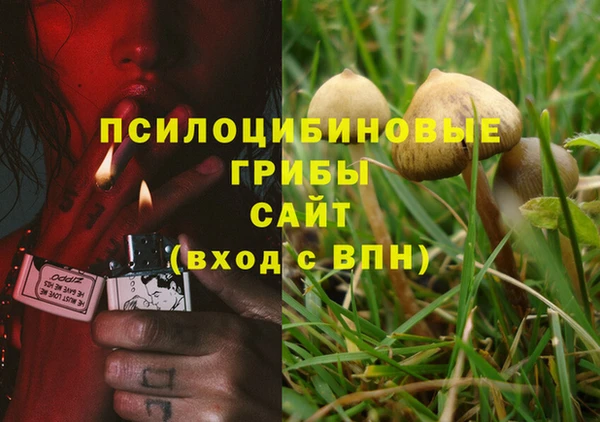 марки nbome Строитель