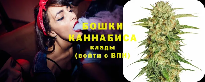 Бошки марихуана SATIVA & INDICA  кракен как зайти  Боготол 